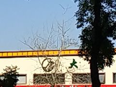 -大桥道糕点食品店(津塘路店)