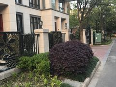 -大华梧桐墅大公馆