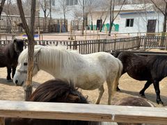 -水上乐园·欢乐世界