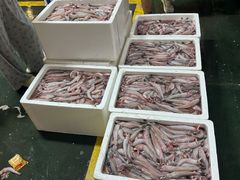 -海峡水产品交易中心(海鲜交易区)