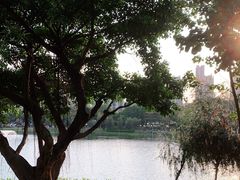 -映月湖公园