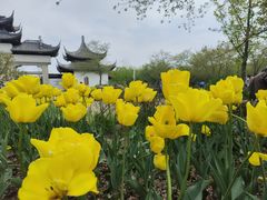 -苏州上方山国家森林公园