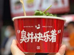 -黑色经典臭豆腐·湖南特产(坡子街特产局店)