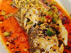 -十二月·宁夏盐池滩羊肉火锅