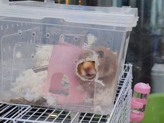 -萌兽医馆·眼科·异宠专科(三里屯店)