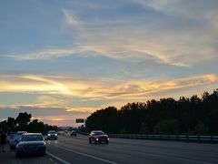 景点-合肥滨湖国家森林公园