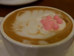 -猫色咖啡·猫咖