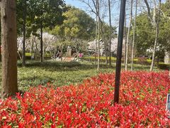 -徐家汇源景区-衡山公园