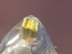 -洪瑞珍三明治(忠孝店)