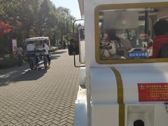 -上海海湾国家森林公园