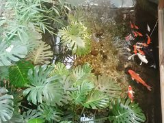 -聚缘堂·海鲜私房菜(松岭路店)
