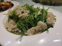 芫爆鱿鱼-晋阳饭庄(虎坊桥店)