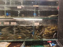 -衢农会·衢州菜·宴请(国际机场店)