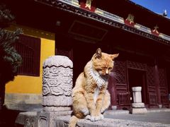 -西园戒幢律寺