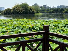 -南宁南湖公园
