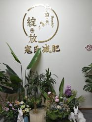 点击看大图 -寇氏减肥