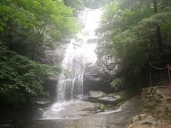 -王顺山国家森林公园