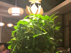 -宴桃园(门头沟店)