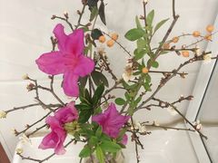 -湘阁里辣(南岭购物广场店)