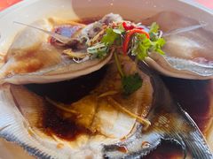 -大树下海鲜饭店