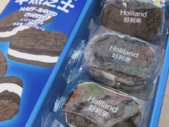 -蒲公英(五里店)