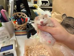 -龙猫仔乐园(惠福东路店)