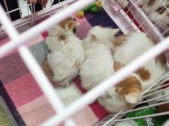 -鹏欣水游城