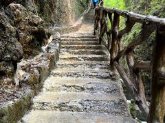 -鹿院坪生态旅游景区