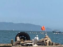 -渔寮风景区