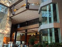 -上海新锦江大酒店