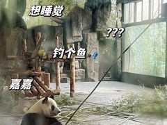 -上海野生动物园