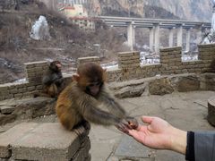 -山西通天峡景区