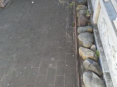 -抚仙湖禄充风景区