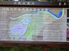 -汤旺河林海奇石景区