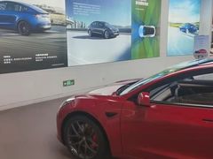 -TESLA 特斯拉(郑州正弘城体验店)