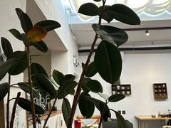 -沏点Trattoria意大利餐厅(新街口店)