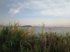 -宝安西湾红树林湿地公园