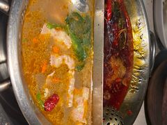 -小龙坎火锅(全球旗舰店)