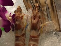 花竹虾-鲜入围煮花胶鸡海鲜火锅