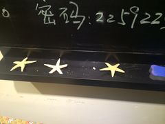 -志龙皇冠吃货椰子铺