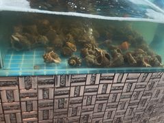 -蓝珊甄选海鲜自助·火锅大排档(近阿那亚店)
