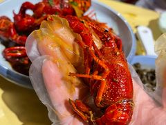 精品潜江油焖小龙虾-小田油焖小龙虾(双井店)