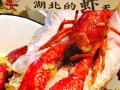 特色蒜蓉小龙虾-文叔·湖北名小吃·小龙虾(华强北店)