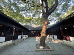 -上海醉白池公园