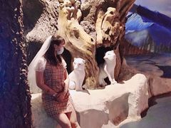 -芜湖新华联大白鲸海洋公园