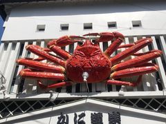 -蟹道乐(道顿堀本店)