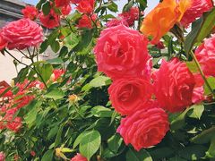 -张记焖窑·十五年专注焖烤(雍和宫店)