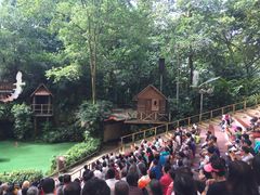 -新加坡飞禽公园