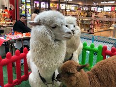 -万达广场(沈阳铁西店)
