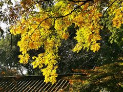 -北山街历史文化街区
